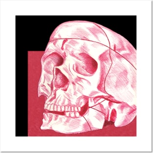 Crosshatch Skull Posters and Art